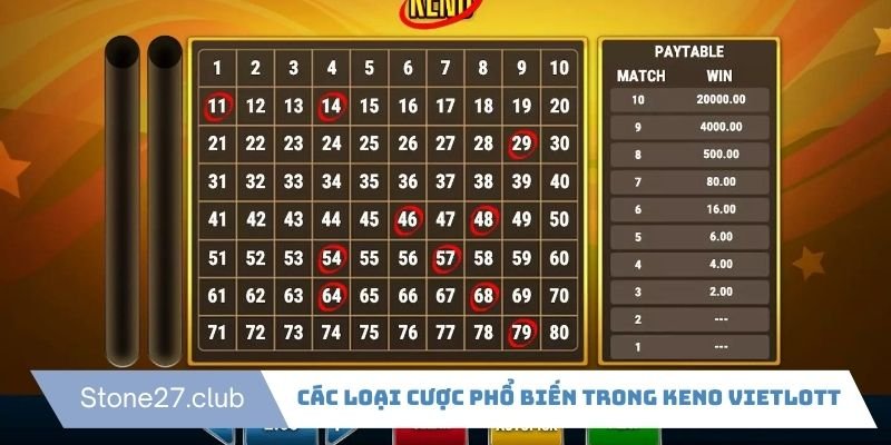 Các loại cược phổ biến trong Keno Vietlott